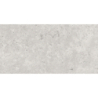 OLIMPIA GRIS MAT 30X60 REKT. GAT.1 (P.74325)