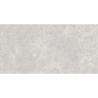 OLIMPIA GRIS MAT 30X60 REKT. GAT.1 (P.74325)