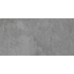 CAPITOL GRIS MAT 60X120...