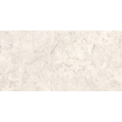 REGALO LIGHT BEIGE MAT 59,7X119,7 REKT. GAT.1 (P.46273)
