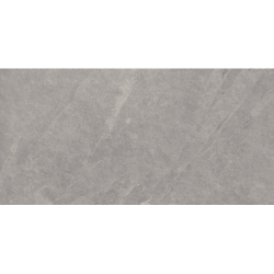 ASH SILVER STRUKTURA 59,7X119,7 REKT. GAT.1 (P.32149)