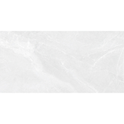 BABILON SILVER MAT 60X120 REKT. GAT.1 (P.75053)