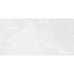 BABILON SILVER MAT 60X120 REKT. GAT.1 (P.75053)