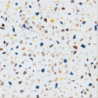 ROCCO MULTI MAT 60X60 REKT. GAT.1 (P.75177)