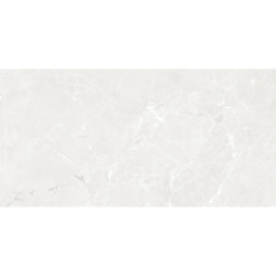 GEKKO WHITE MAT 60X120...