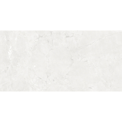 GEKKO WHITE MAT 60X120 REKT. GAT.1 (P.75207)