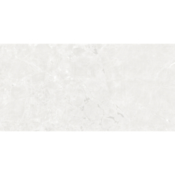 GEKKO WHITE MAT 60X120 REKT. GAT.1 (P.75207)