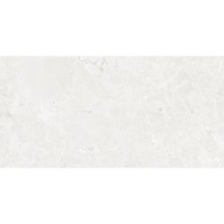 GEKKO WHITE MAT 60X120 REKT. GAT.1 (P.75207)