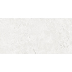 GEKKO WHITE MAT 60X120 REKT. GAT.1 (P.75207)