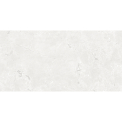 GEKKO WHITE MAT 60X120 REKT. GAT.1 (P.75207)