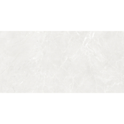 GEKKO WHITE MAT 60X120 REKT. GAT.1 (P.75207)