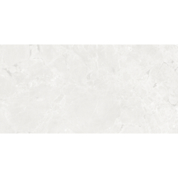 GEKKO WHITE MAT 60X120 REKT. GAT.1 (P.75207)