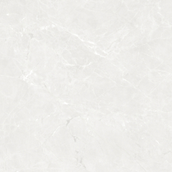 GEKKO WHITE MAT 120X120...