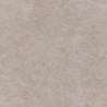 ASH BEIGE STRUKTURA 119,7X119,7X8 REKT.  GAT.1 (P.75211)