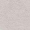 ASH WHITE STRUKTURA 119,7X119,7X8 REKT.  GAT.1 (P.75227)