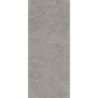 ASH SILVER STRUKTURA 279,7X119,7X6 REKT.  GAT.1 (P.75219)