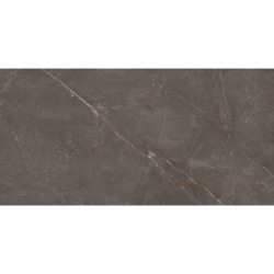 ELEGANT LOOK BROWN MAT...