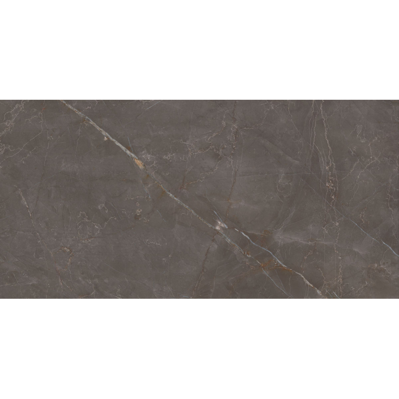 ELEGANT LOOK BROWN MAT 59,8X119,8 REKT. GAT.1 (P.75137)