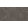 ELEGANT LOOK BROWN MAT 59,8X119,8 REKT. GAT.1 (P.75137)