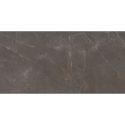 ELEGANT LOOK BROWN MAT 59,8X119,8 REKT. GAT.1 (P.75137)