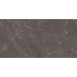 ELEGANT LOOK BROWN MAT 59,8X119,8 REKT. GAT.1 (P.75137)