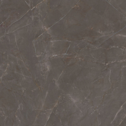 ELEGANT LOOK BROWN MAT 119,8X119,8 REKT. GAT.1 (P.75143)