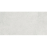 BILD JASNOSZARY BLD10 MAT 29,7X59,7 REKT. GAT.1 (P.76625)