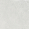 BILD JASNOSZARY BLD10 MAT 59,7X59,7 REKT. GAT.1 (P.76561)