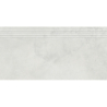 BILD JASNOSZARY BLD10 STOPNICA MAT 59,7X29,7 REKT. GAT.1 (P.76507)