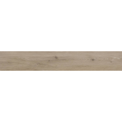 LENARO BEIGE MAT 120,2X19,3...