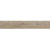 LENARO BEIGE MAT 120,2X19,3 REKT. GAT.1 (P.76525)