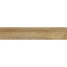 ASARO SABBIA KLINKIER MAT 60X11 GAT.1 (P.76441)