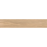 ASARO NATURAL KLINKIER MAT 60X11 GAT.1 (P.76427)