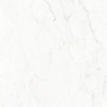 CONCORDE POLER 59,8X59,8 REKT. GAT.1 (P.76339)