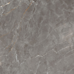 SHINESTONE GREY POLER...
