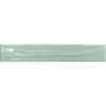 AVA FERN 5X30 POŁYSK GAT.1 (P.75249)
