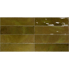 NAIROBI MOSS 5X30 POŁYSK GAT.1 (P.75285)