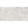 FESTIVE BIANCO CARVING 60X120 REKT. GAT.1 (P.76221)