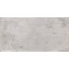 FESTIVE SILVER CARVING 60X120 REKT. GAT.1 (P.76217)