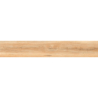 TABACCO BEIGE CARVING 20X120 REKT. GAT.1 (P.75361)