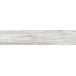 BALTIMORE GRIS MAT 23,3X120...