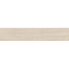 BOSCO INVIERNO MAT 22,5X119,5 REKT. GAT.1 (P.75993)