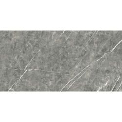 COLUMBIA GRIS MAT 60X120...