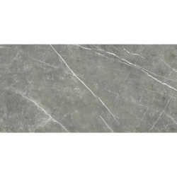 COLUMBIA GRIS POLER 60X120...