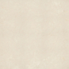 IMPERIUM MARFIL POLER 120X120 REKT. GAT.1 (P.75793)