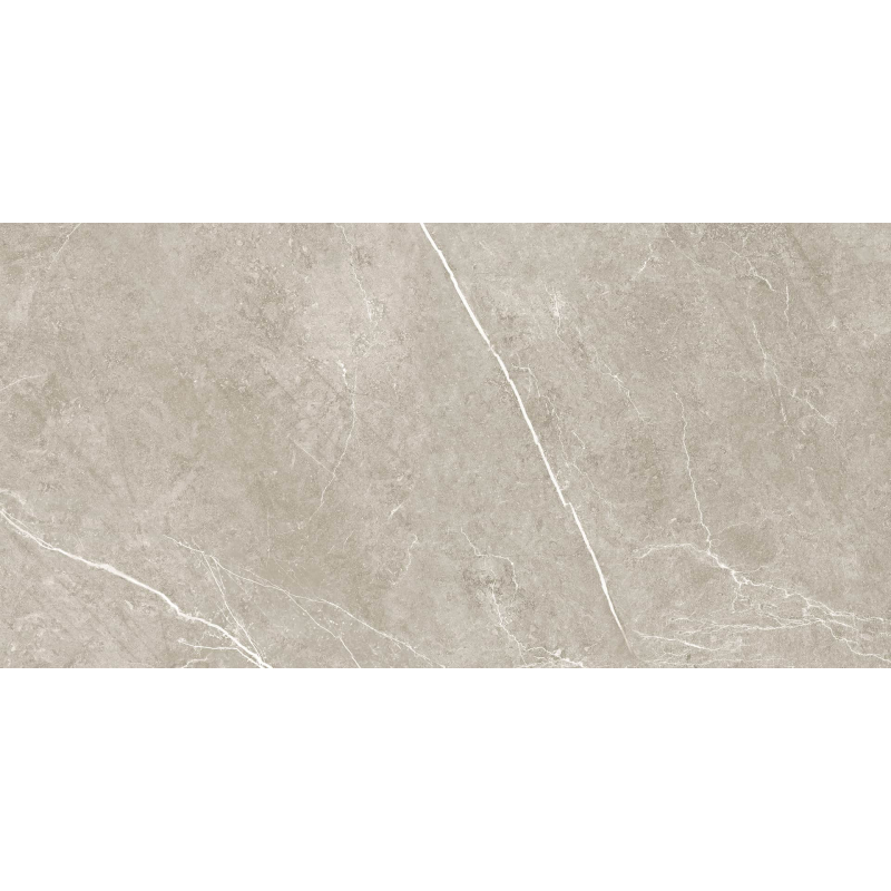NIVAL GRIS MAT 60X120 REKT. GAT.1 (P.75931)