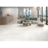 BORGO WHITE MAT 60X120 REKT. GAT.1 (P.75519)