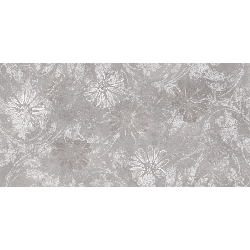 ENERGY DAISY GRIS MAT 60X120 REKT. GAT.1 (P.75533)