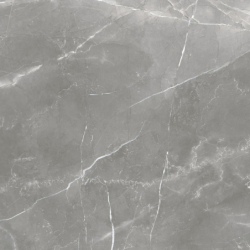 RODUM GRIS MAT 100X100...