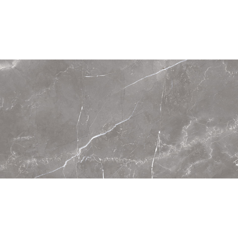RODUM GRIS MAT 60X120 REKT. GAT.1 (P.75453)
